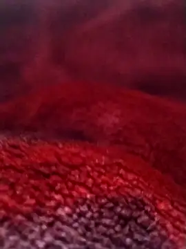 saneer69tew online show from 02-26-26, 06:12