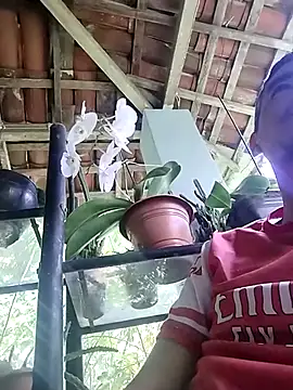 Snapshot of Boragozarvem chatting on 10-07-25, 02:58 Boragozarvem online show from 10-07-25, 02:58