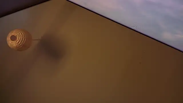 MasterDaddyCool online show from 01-08-26, 07:27