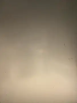 sasatimido online show from 10-14-25, 03:13