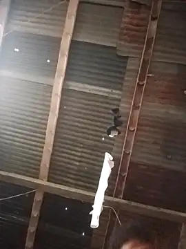 Davir2001 online show from 03-01-26, 11:56