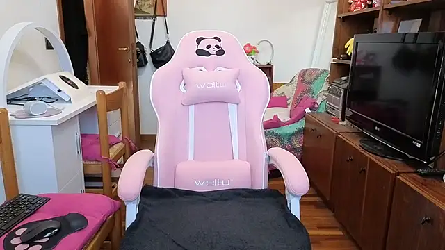 DragonflyExhib online show from 04-02-26, 07:50