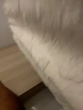 DoctorArabe3 online show from 02-12-26, 11:05