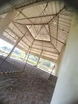 Desi Horny Boys online show from 10-21-25, 08:26