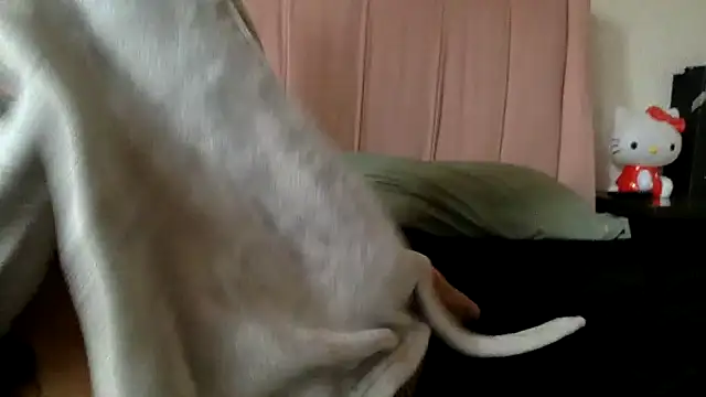 Akanett cxtt online show from 10-11-25, 08:51