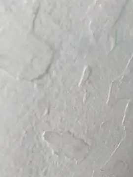 Snapshot of yaraa49 chatting on 10-23-25, 05:07 yaraa49 online show from 10-23-25, 05:07