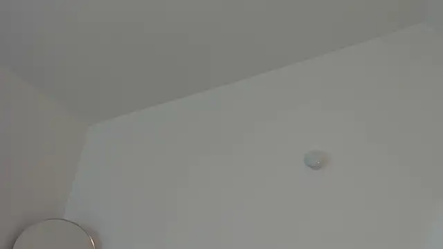 Taylormaxwell online show from 12-01-25, 08:58