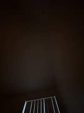 julio p online show from 02-14-26, 11:23