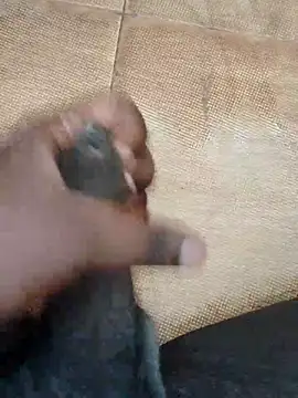 Snapshot of Saikishore00000 chatting on 09-15-25, 08:25 Saikishore00000 online show from 09-15-25, 08:25