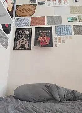 Snapshot of _arigins_ chatting on 10-11-25, 10:14  arigins  online show from 10-11-25, 10:14