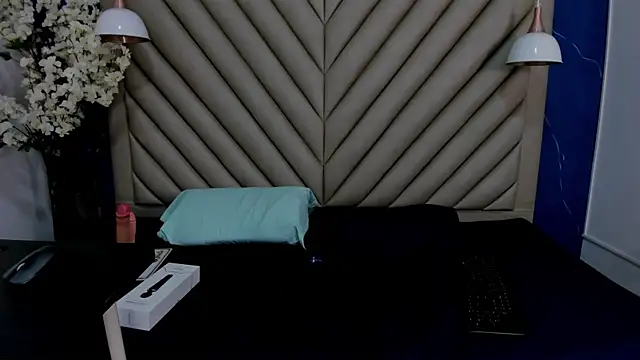 Snapshot of Ibbie_drastic chatting on 01-11-26, 12:10 Ibbie drastic online show from 01-11-26, 12:10