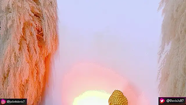 JulietaDavis online show from 04-22-26, 09:33