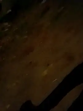 Snapshot of jvdzj-0_ chatting on 10-28-25, 09:50 jvdzj-0  online show from 10-28-25, 09:50