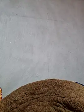 yoowwmr online show from 11-20-25, 05:40