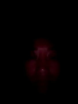 Snapshot of Zhan99999 chatting on 10-15-25, 11:21 Zhan99999 online show from 10-15-25, 11:21