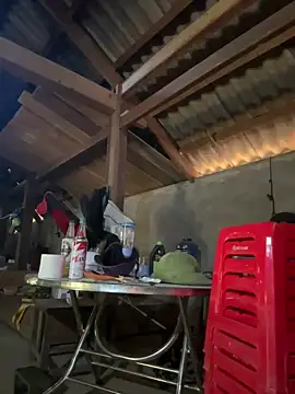 ThiHa003 online show from 01-18-26, 05:11