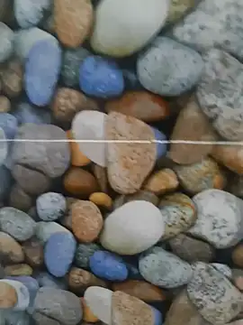 Snapshot of coocon2020 chatting on 10-28-25, 01:31 coocon2020 online show from 10-28-25, 01:31