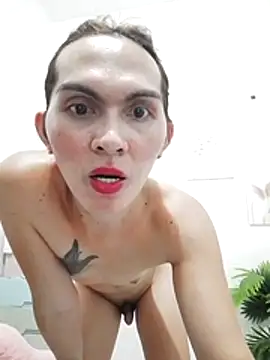 Pinkyweb 03 online show from 07-18-26, 06:39