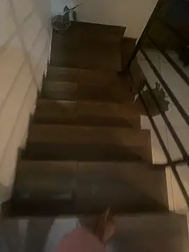 Snapshot of pretalst chatting on 11-19-25, 07:52 pretalst online show from 11-19-25, 07:52