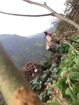 Maymay97 online show from 12-20-25, 10:33