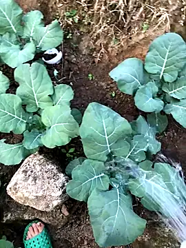 Maymay97 online show from 12-23-25, 12:19