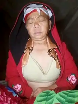 Snapshot of VangLe73 chatting on 11-10-25, 10:31 VangLe73 online show from 11-10-25, 10:31