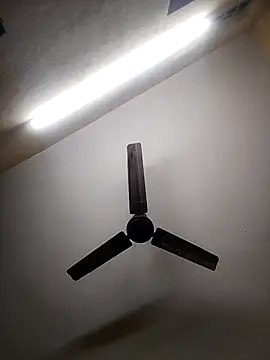 Snapshot of Devi-with-Ram chatting on 10-07-25, 05:48 Devi-with-Ram online show from 10-07-25, 05:48