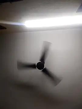 Snapshot of Devi-with-Ram chatting on 10-13-25, 04:34 Devi-with-Ram online show from 10-13-25, 04:34