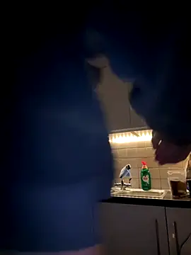 Michel huge online show from 11-27-25, 08:27