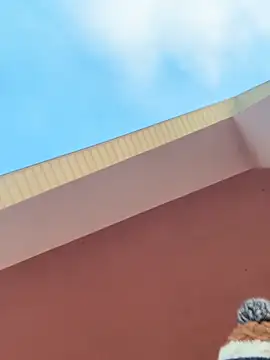 Michel huge online show from 02-11-26, 05:45