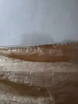 darryl hugecok online show from 03-15-26, 07:14