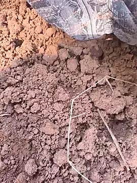 Snapshot of Hot_raaani chatting on 11-07-25, 06:13 Hot raaani online show from 11-07-25, 06:13