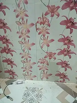 Snapshot of Meenaksi-singh chatting on 10-01-25, 07:42 Meenaksi-singh online show from 10-01-25, 07:42