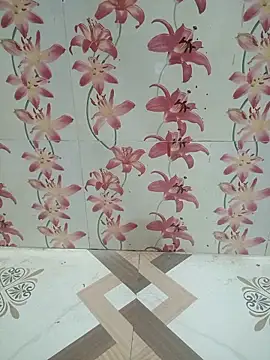 Snapshot of Meenaksi-singh chatting on 10-04-25, 05:16 Meenaksi-singh online show from 10-04-25, 05:16