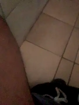 Snapshot of Lushen704 chatting on 10-29-25, 06:15 Lushen704 online show from 10-29-25, 06:15