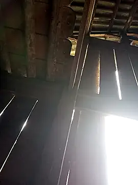 Mamapm20 online show from 09-19-25, 12:23