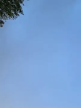 raen001 online show from 11-24-25, 08:47