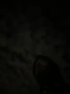 Snapshot of theone3121 chatting on 10-15-25, 11:43 theone3121 online show from 10-15-25, 11:43