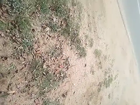 SAManthapathmasri online show from 11-17-25, 07:47