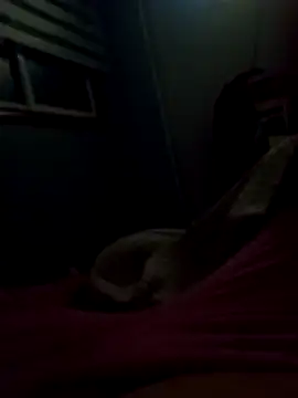 Snapshot of Pillate069 chatting on 03-02-26, 06:03 Pillate069 online show from 03-02-26, 06:03