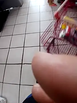 Snapshot of cicinha3657 chatting on 02-20-26, 06:30 cicinha3657 online show from 02-20-26, 06:30