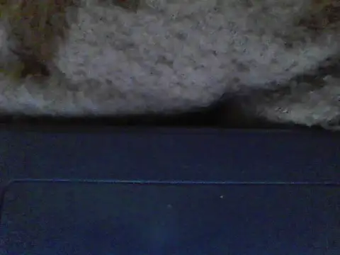 ursdreamperson online show from 12-21-25, 05:09