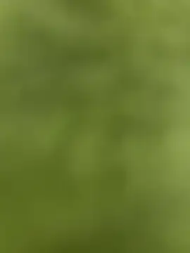 Snapshot of youyou933 chatting on 09-12-25, 05:57 youyou933 online show from 09-12-25, 05:57