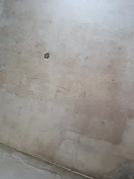 Snapshot of Sgaf39 chatting on 09-14-25, 11:42 Sgaf39 online show from 09-14-25, 11:42