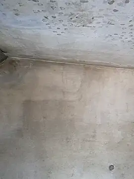 Snapshot of Sgaf39 chatting on 09-26-25, 09:13 Sgaf39 online show from 09-26-25, 09:13