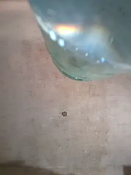 Snapshot of Sgaf39 chatting on 10-06-25, 06:27 Sgaf39 online show from 10-06-25, 06:27