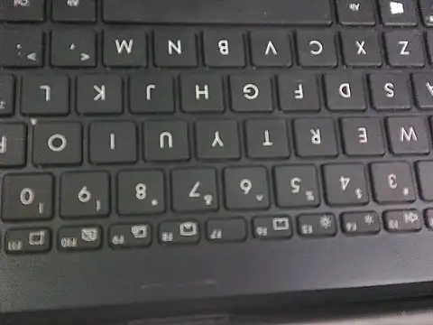 Snapshot of WetWildPussy chatting on 09-23-25, 12:35 WetWildPussy online show from 09-23-25, 12:35