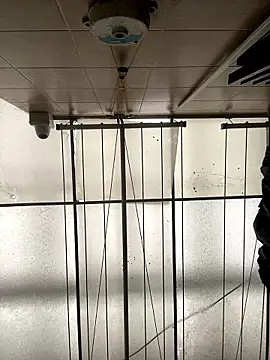 Sallem Pink online show from 01-16-26, 11:25