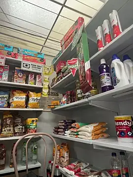 Sallem Pink online show from 02-21-26, 11:22