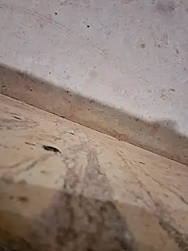 Negodabenga online show from 12-14-25, 12:27